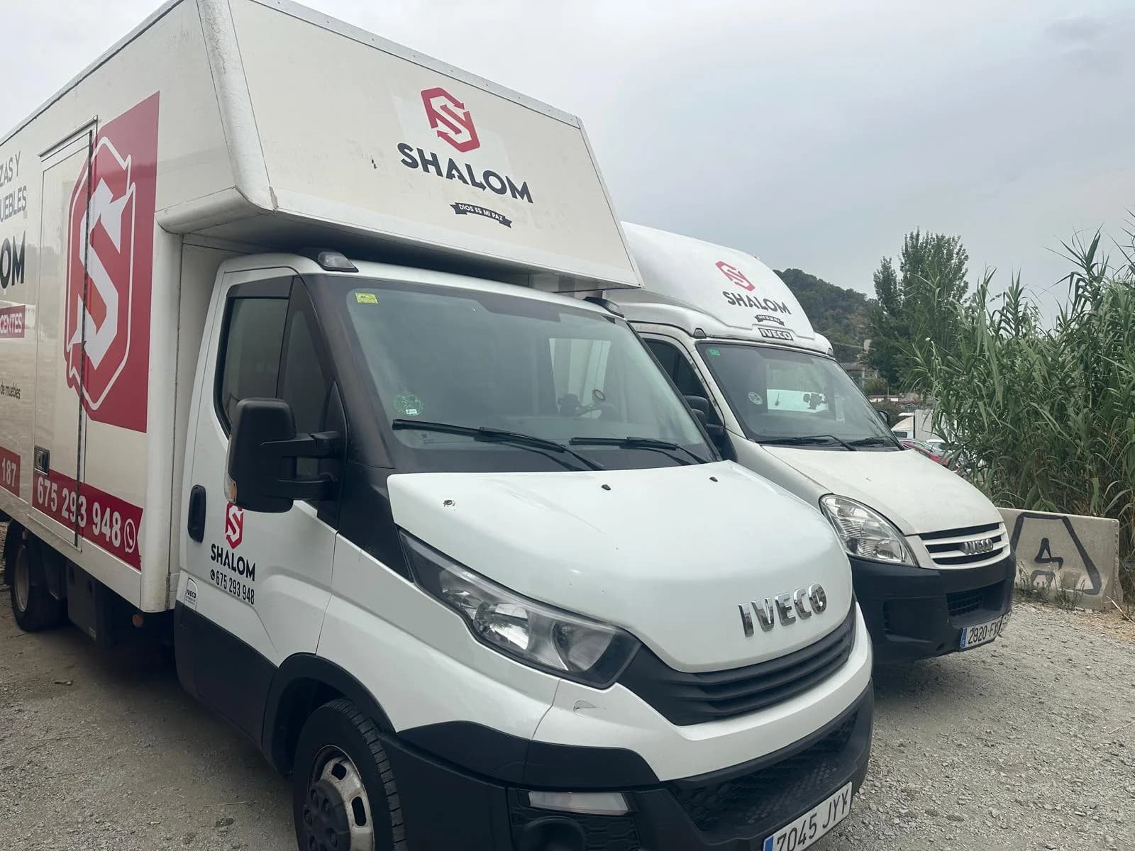 Equipo profesional de Mudanzas Shalom - líderes en calidad