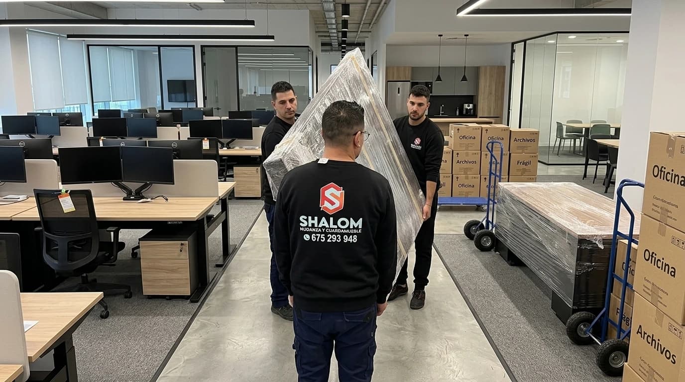 Logística de oficinas Shalom